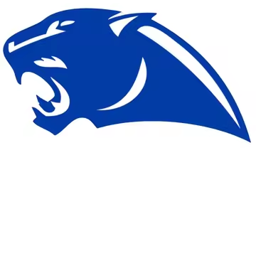 MOQ 3 Custom baby girls PANTHERS blue sleeveless skirt outfits