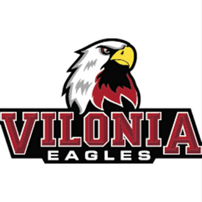 MOQ 3 Custom design girls VILOINIA red team Pullover